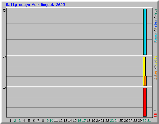 Daily usage for August 2025
