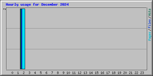 Hourly usage for December 2024