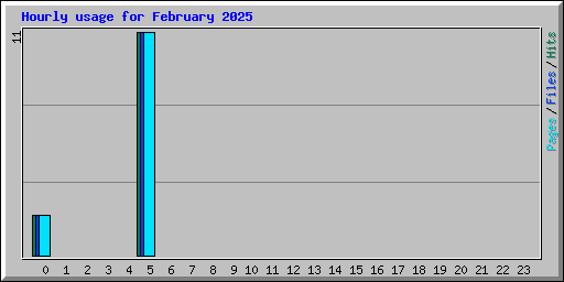 Hourly usage for February 2025