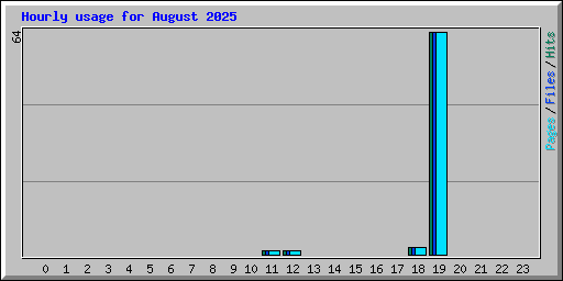 Hourly usage for August 2025