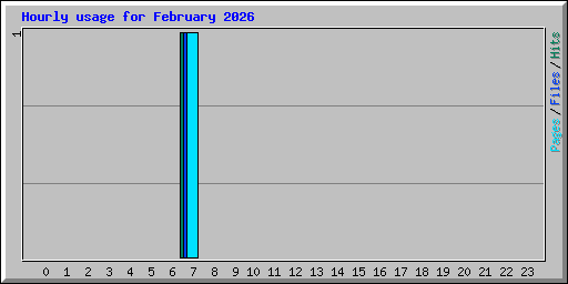 Hourly usage for February 2026