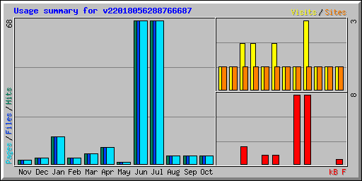 Usage summary for v22018056288766687